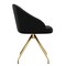 Martha Stewart Sora Upholstered Stationary Office Chair in Black/Polished Brass CH-222119-BK-GLD-MS - alternate 5